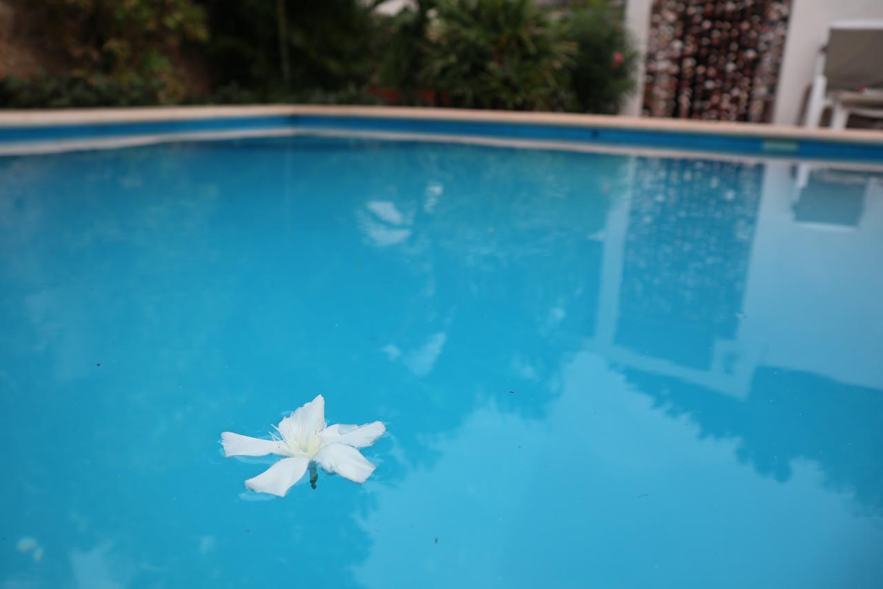 Hotel Aries Y Libra Merida Exterior photo